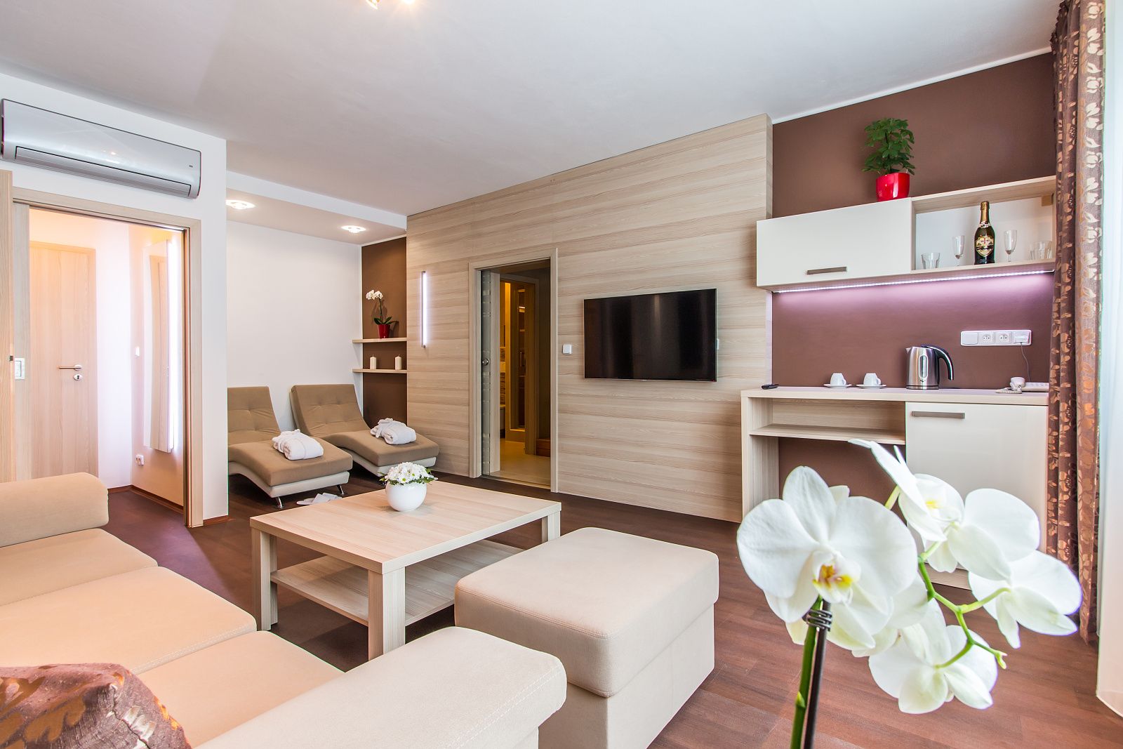 Wellness apartmán – obývací část se sedačkou, TV a květinou v popředí